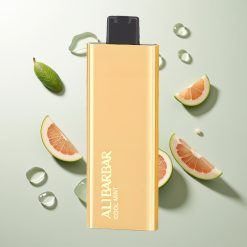 Alibarbar Pandora 7000 Züge Kühle Minze E-Liquid 17ml Einweg-Vape