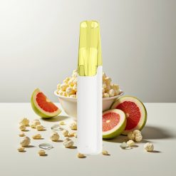 Snowplus Dash 4000 Züge Vanille Popcorn Keramik 530mAh