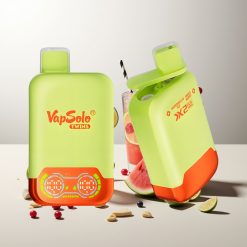 Vapsolo Twins 20000 Züge Wassermelone-Eis & Beeren-Mix 40ml 2-Tank Typ-C