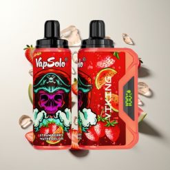 VapSolo VIKING 12000 Züge Erdbeer-Wassermelone Typ-C Display 22ml 20/50 mg