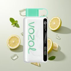 VOZOL STAR 9000/12000 Einweg-Vape Zitrone Minze mit S.i.L.C TECH, 650mAh Akku und 30% schnellerem Laden